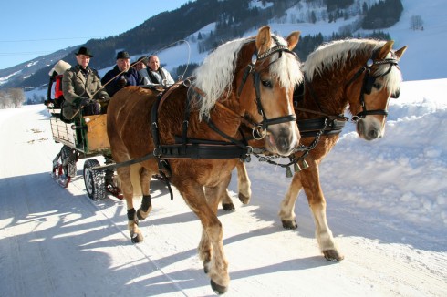 Pferdeschlittenfahrt durch Schladming © Schladming-Dachstein/Raffalt